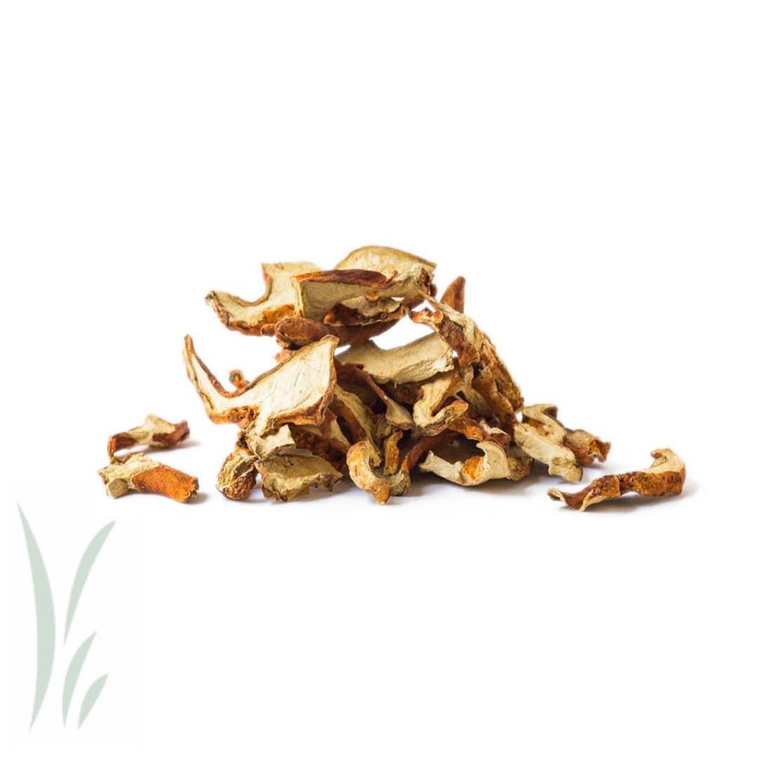 Dried Wild Lobster Mushrooms / lb